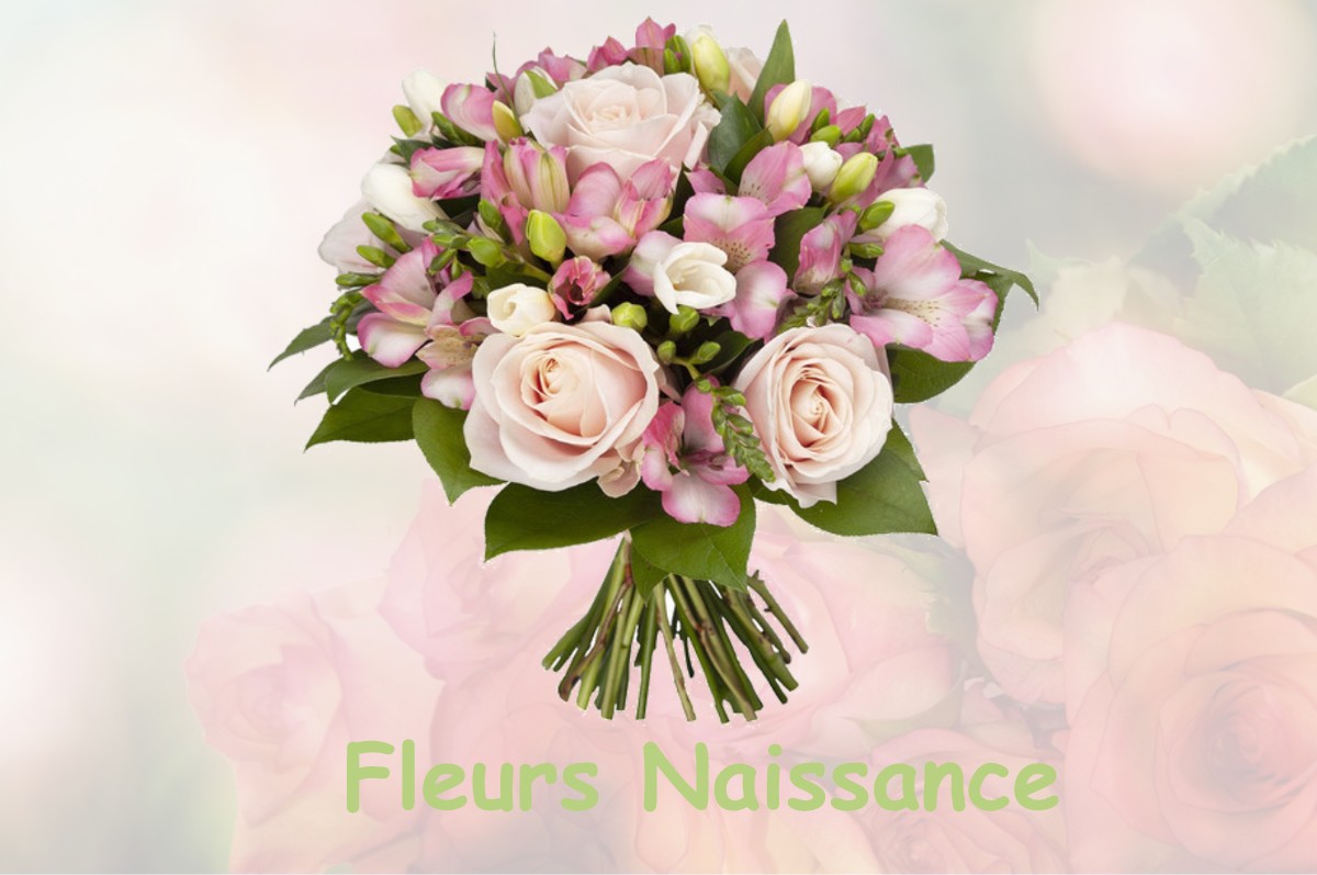 fleurs naissance RIGNY-SAINT-MARTIN